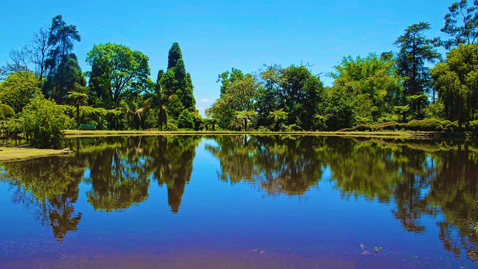 PTChimusoro's tweet photo. Zimbabwe has a lot of beauty waiting for us to experience. Imagine, being out there, soaked in the beauty and splendour of Vumba Botanical Gardens, relaxed, refreshing and recharging yourself! It only takes a decision; that I will #VisitZimbabwe and the rest will be experience. https://t.co/2Nnk6TDR7j