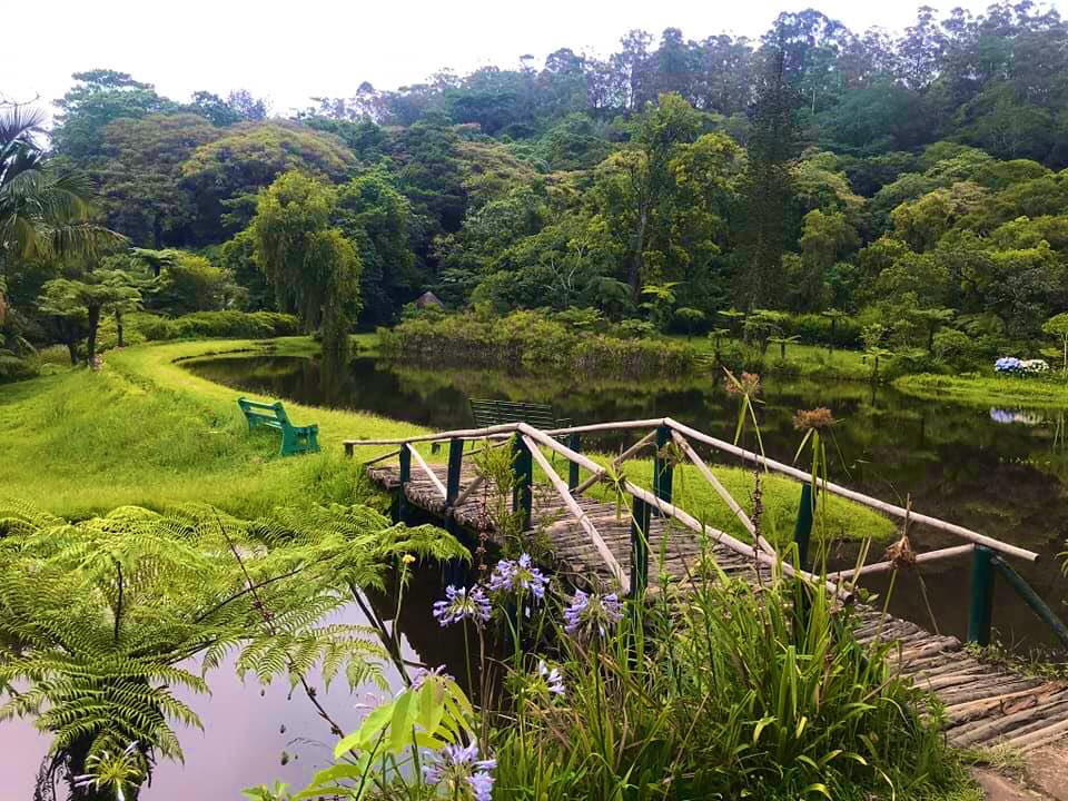 PTChimusoro's tweet photo. Zimbabwe has a lot of beauty waiting for us to experience. Imagine, being out there, soaked in the beauty and splendour of Vumba Botanical Gardens, relaxed, refreshing and recharging yourself! It only takes a decision; that I will #VisitZimbabwe and the rest will be experience. https://t.co/2Nnk6TDR7j