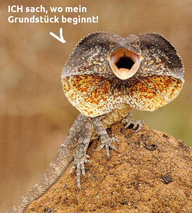 Denkt er der Speckring um seinen Hals erfüllt den selben Zweck, wie bei so einer Echse oder einem Kugelfisch?