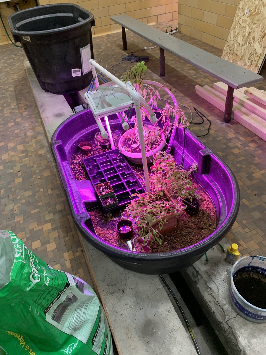 DottkeA's tweet photo. Pretty successful day down in the cove! Here you see the plants we have grown thus far. Today, we got some wood for the next phase of the build. As well as started a water loss log which could possibly be implemented into math classes. https://t.co/FJ6kEClXrP