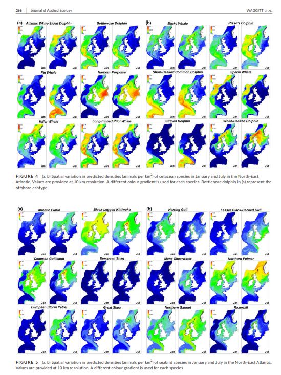 AngelBorjaYerro's tweet image. For the first time, #distributional maps of 12 #marine #mammals and 12 #seabirds in the NE #Atlantic, made by a large panel of good scientists. Useful for #conservation and #management. Read it here: besjournals.onlinelibrary.wiley.com/doi/abs/10.111…