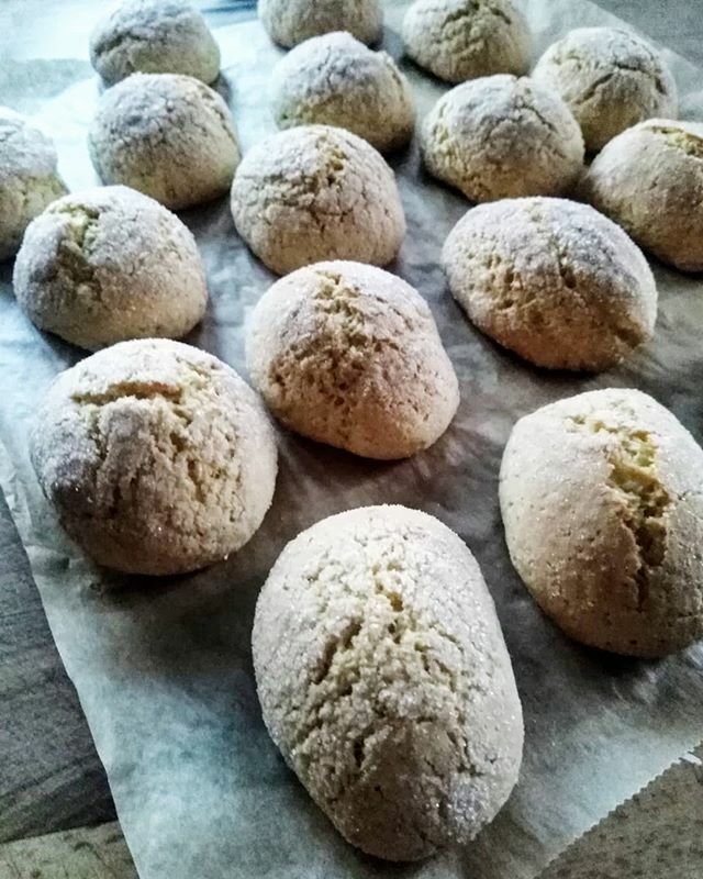 Biscottoni da inzuppare,appena sfornati..Manca solo un litro di latte🌄😊
#buongiorno 🌸 #easyeasy
.
.
300 g di farina 0
200 g di farina di riso
3 uova medie
150 g di zucchero
70 g di olio di semi
70 g di latte 
Un pizzico di sale
1/2 bustina di ammonia… ift.tt/32SzWwS