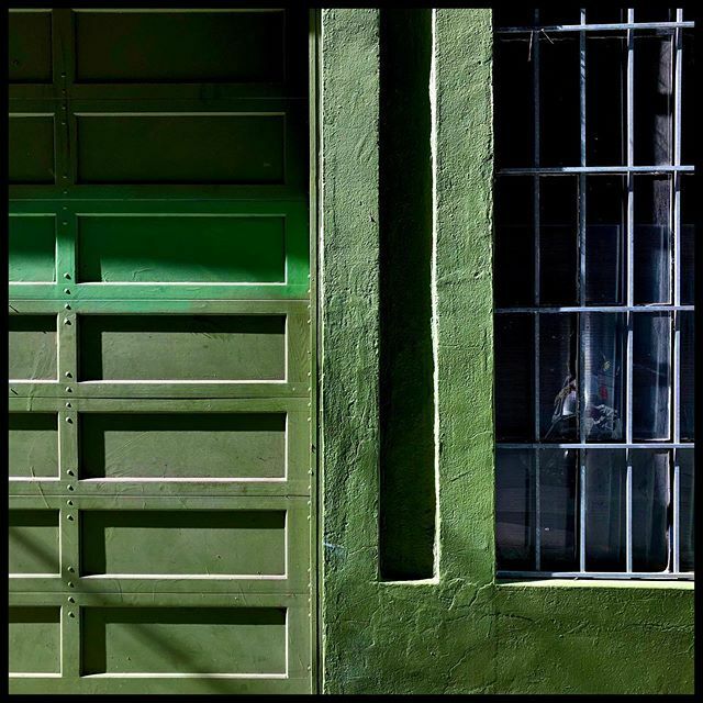 davidtruog's tweet photo. Green facade in raking sunlight https://t.co/aBPkXZCh5c