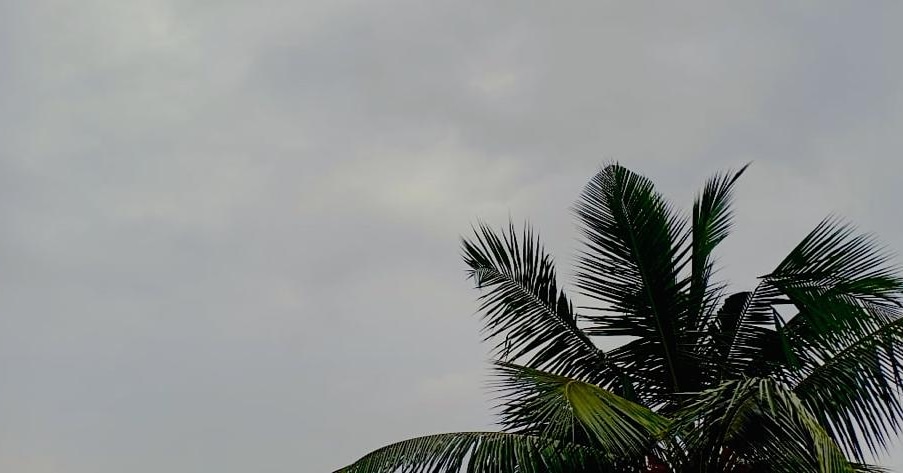 SimontiniB's tweet photo. Good rainy morning home 🏡.  #LoveforRain #WaterBaby 💓 https://t.co/nJsBAOsTE1