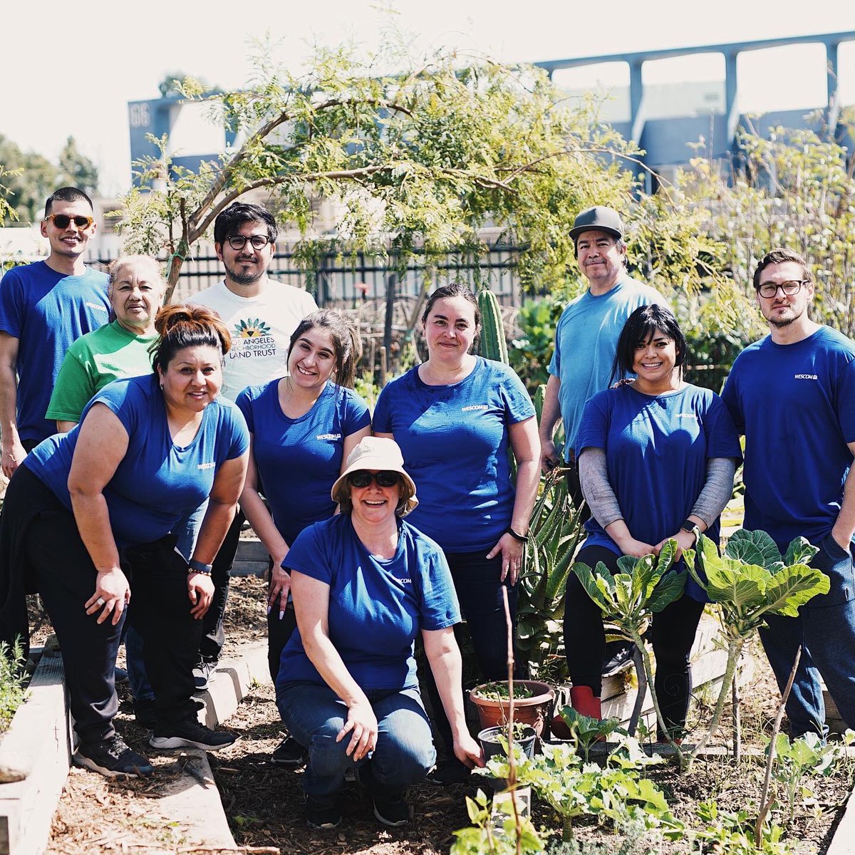 wescomfinancial's tweet photo. Serving our members is our primary focus but building better communities is also at the heart of what we do. Last weekend, we teamed up with the Los Angeles Neighborhood Land Trust to restore a garden🌷🌱☀️#LANeighborhoodLove #WeCareFoundation #WescomVolunteer #WeCare #Wescom https://t.co/AbYj96aJcM