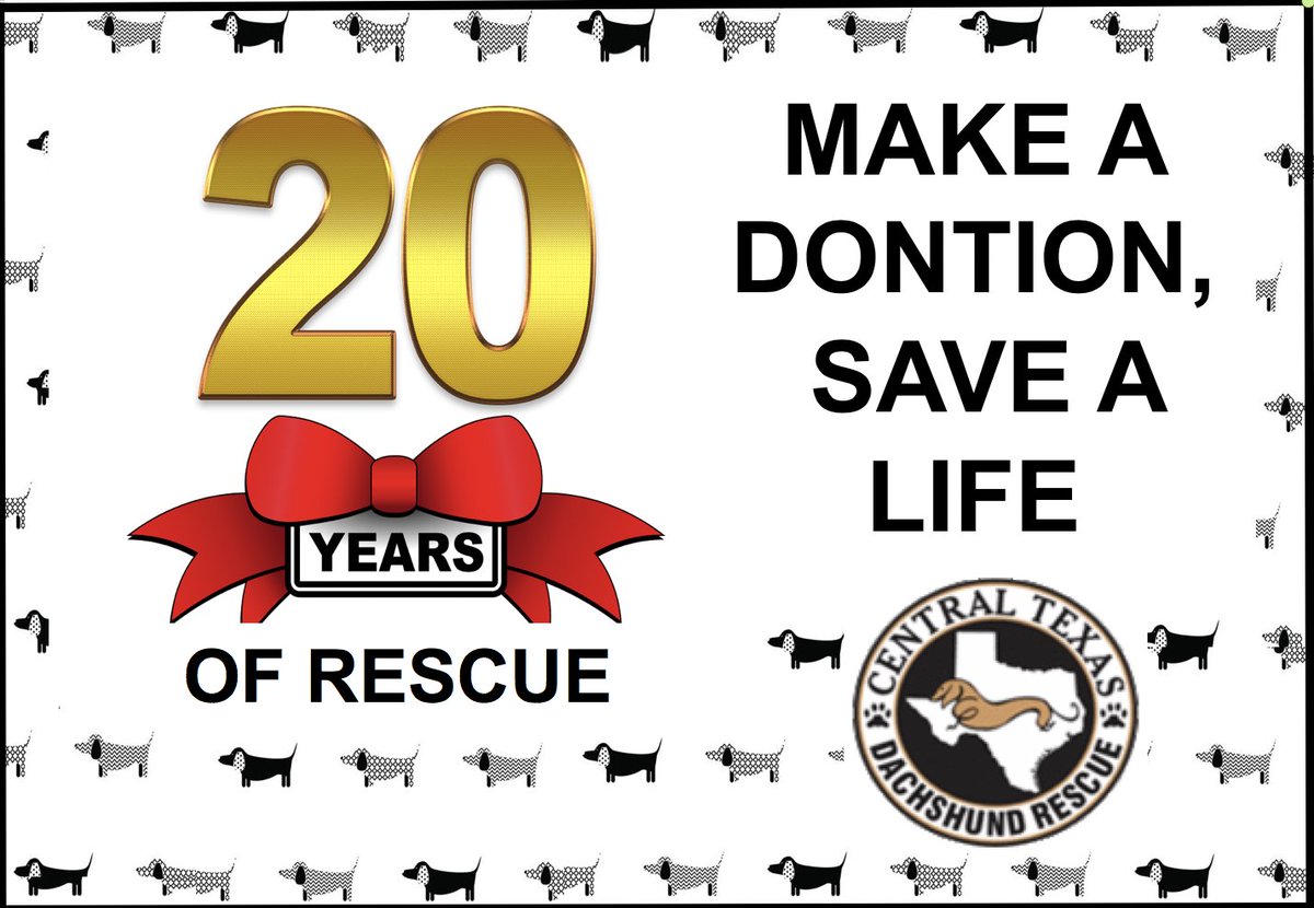 CTDR's tweet image. $20 for 20!  CTDR's celebrating 20 years of rescue! Some dogs don't have a 2nd chance at life or get a do-over. CTDR is here to help! Join us during Amplify Austin tomorrow at 6 pm. A donation of only $20 will help many dogs in need! amplifyatx.org/organizations/… #ctdr #AmplifyCTDR