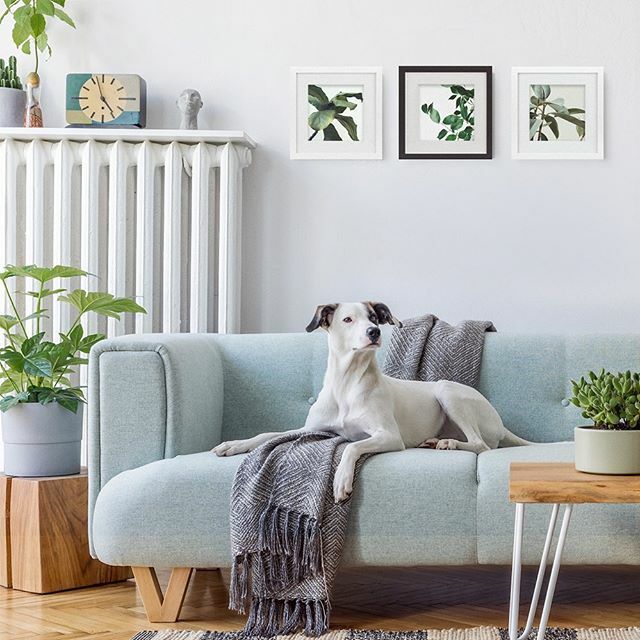 TinyMightyFrms's tweet image. That special room needs special treatment. 🤩 We&apos;ve got you covered, add a mighty touch with #TinyMightyFrames •
•
•
•
•
#homedecor #decor #homedesign #interior #interiors #decoration #instahome #instadecor #homestyle #homesweethome #homeinterior … bit.ly/2IhaEz7