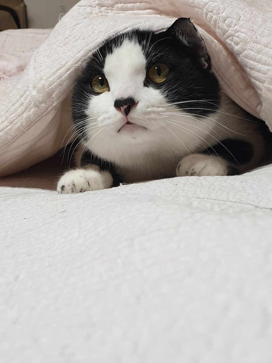 어제 찍은 화보