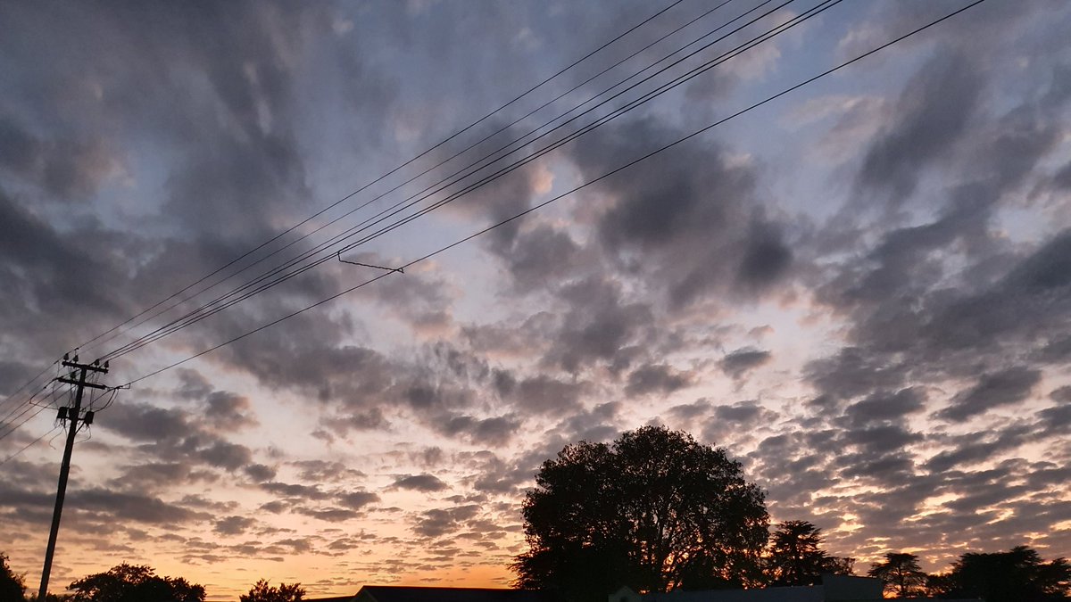 hashtagjdp's tweet photo. Good morning from Linden! Looks like a great start to a lovely day.
#ThursdayMotivation #thursdayvibes @peoples_weather @deoudehuize @cottageimvana @BraaiWeather https://t.co/6tMUWAkuYF