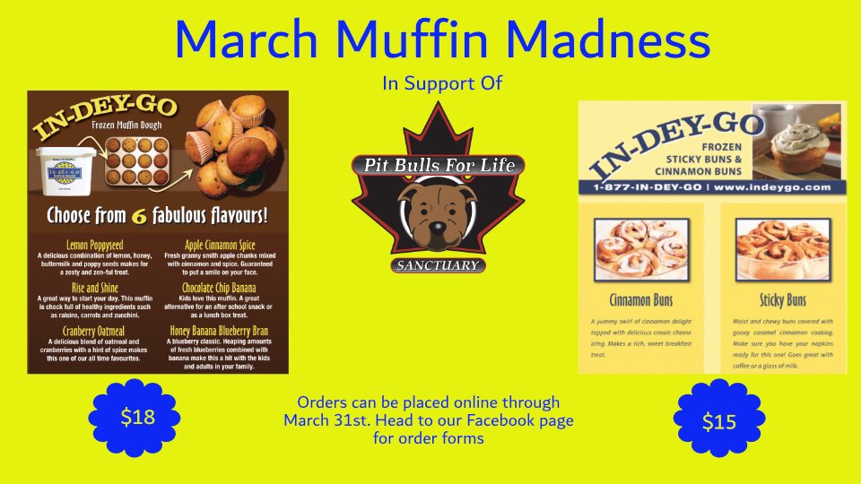PitBullsforLife's tweet photo. March Muffin Madness is happening now! Enjoy a yummy fresh cinnamon bun or freshly baked muffin with your morning cup of coffee โ๏ธ
Click the link below to order! Order through March 31st.
https://t.co/WKYWu4DFts
#fundraiser #pitbulls #responsiblerescue https://t.co/hQNXswJ8tZ