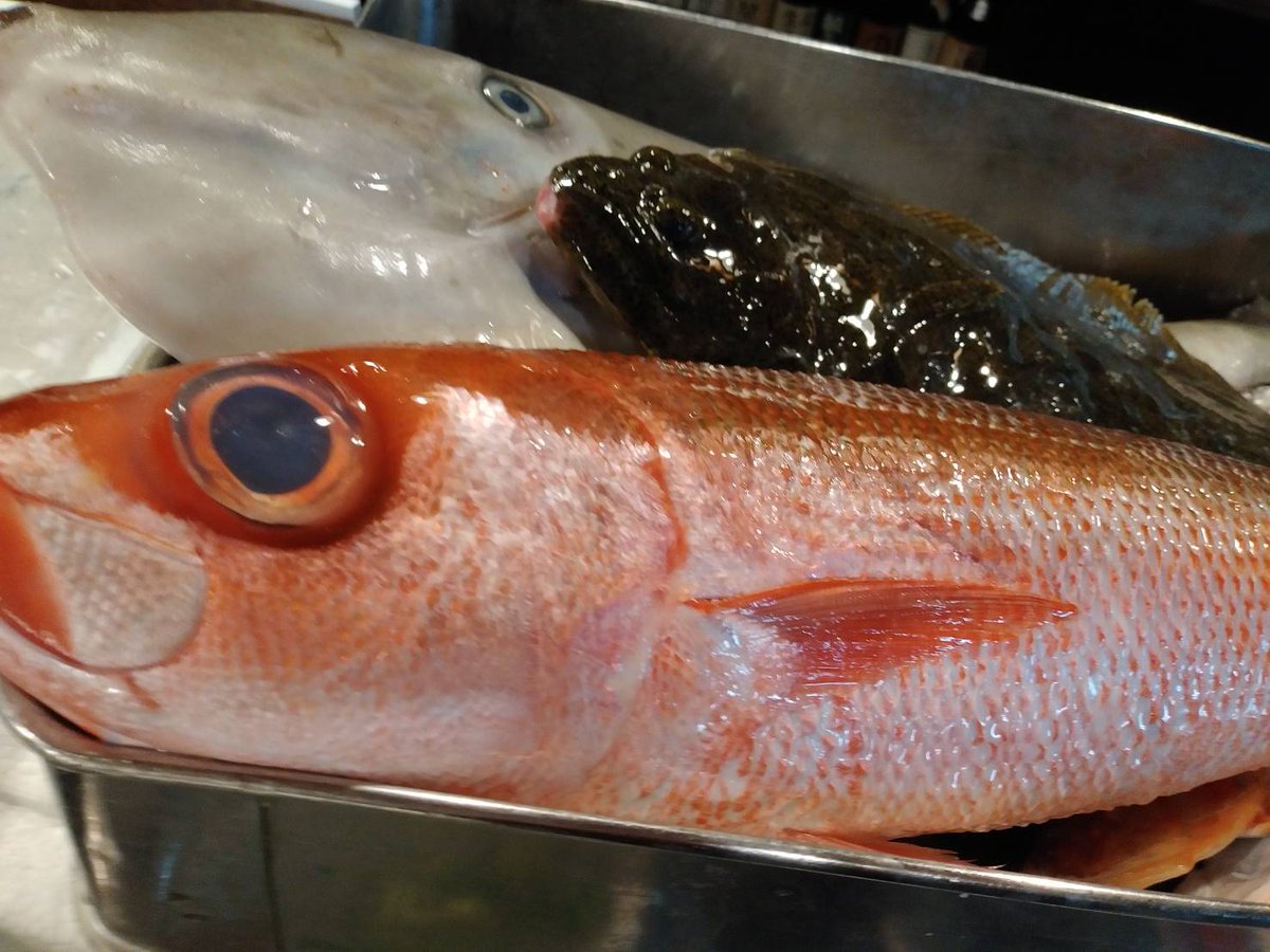 魚一商店 南柏総本山 産直鮮魚届きました 本日の一押しは 沼津から届いた赤サバ皮目を藁 ワラ で焼いて提供します 活ホタテ 祭り開催中 鮮度バツグン 活ホタテ寿司 がオススメです 活ホタテ祭り ほたて ホタテ料理 魚 刺身 寿司 南柏 魚一