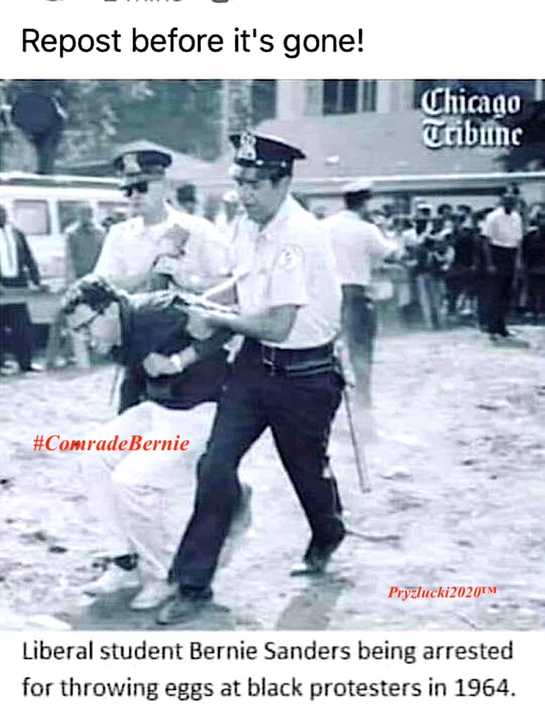 TBirdRex tweet media