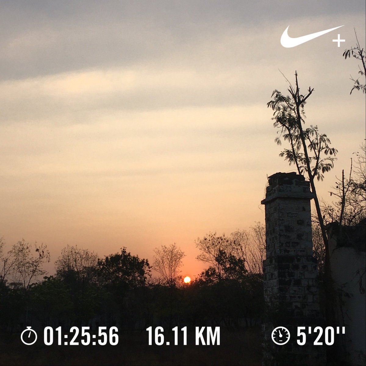 Nithin's tweet image. 6:40 AM: 10 miles keeping HR between 145-150 BPM followed by slow cool down jog. Should have been faster for this HR. Guess it’s time to retire the Pegasus Turbo2?

#Runners360 #HRbasedrun #147BPM #nike #zoom #pegasusturbo2 #werun2020 #werunkalaburagi #nature #sunrise #nofilter