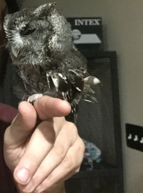 DEEP ASS BREATH IN.

"hoot."

Thank you.