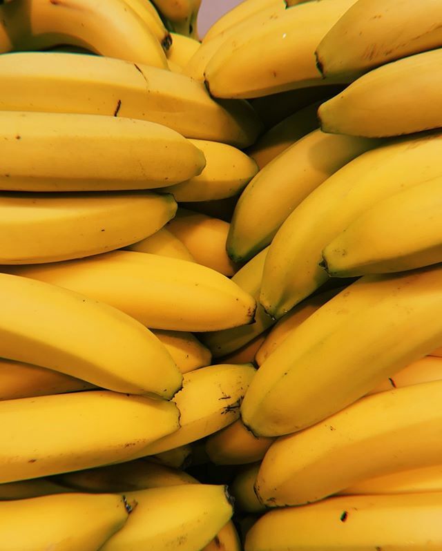 Come Mister Tally Man, tally me banana.⠀⠀⠀⠀⠀⠀⠀⠀⠀
⠀⠀⠀⠀⠀⠀⠀⠀⠀
#jeepneyyellow⠀⠀⠀⠀⠀⠀⠀⠀⠀
#ionacristiana