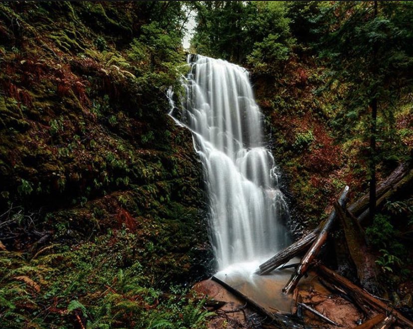 Visit Santa Cruz County tweet media