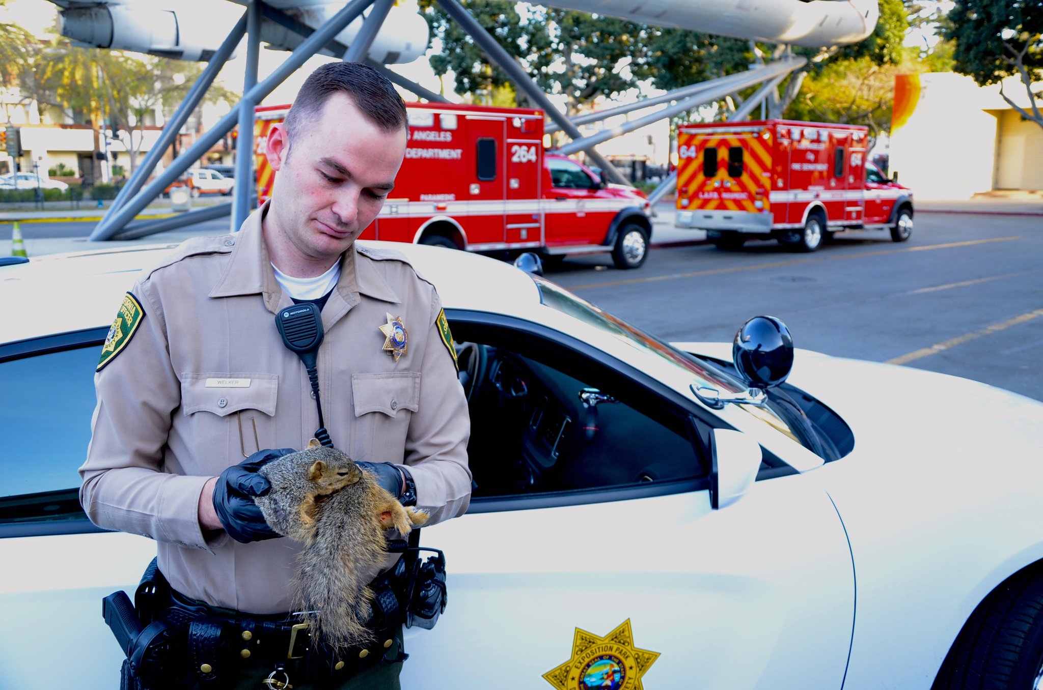 Exposition Park DPS on Twitter "https//t.co/izXbPNlQGL" / Twitter