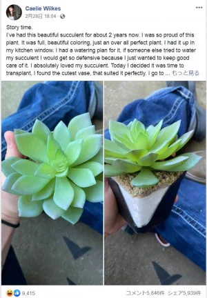 虚しいｗ大事に観葉植物を世話してきた女性ｗｗ2年後に観葉植物が造花だったことに気付くｗｗ