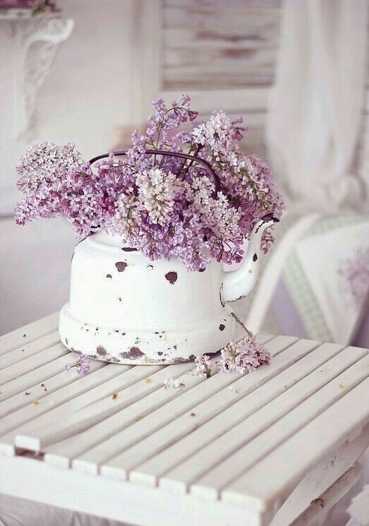 관심은
연결고리 입니다

관심을
끊으면

더 이상
어떤 영향력을 끼치지 못 하죠

그러니
나쁜것은 관심을 끊고
좋은것에 관심을 가지세요