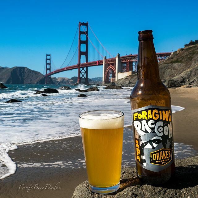 CraftBeerDudes's tweet photo. Today's Craft Beer Review!

Foraging Raccoon
American IPA
Drake's Brewing Co.
San Leandro, CA
7.5% ABV

Appearance - Pours with a light, semi-hazy orange-gold color. Strong initial foamy defined head with medium size bubbles that hold shape.

Aroma - Citrus fruits come in cl… https://t.co/QvgDdQ1w7r