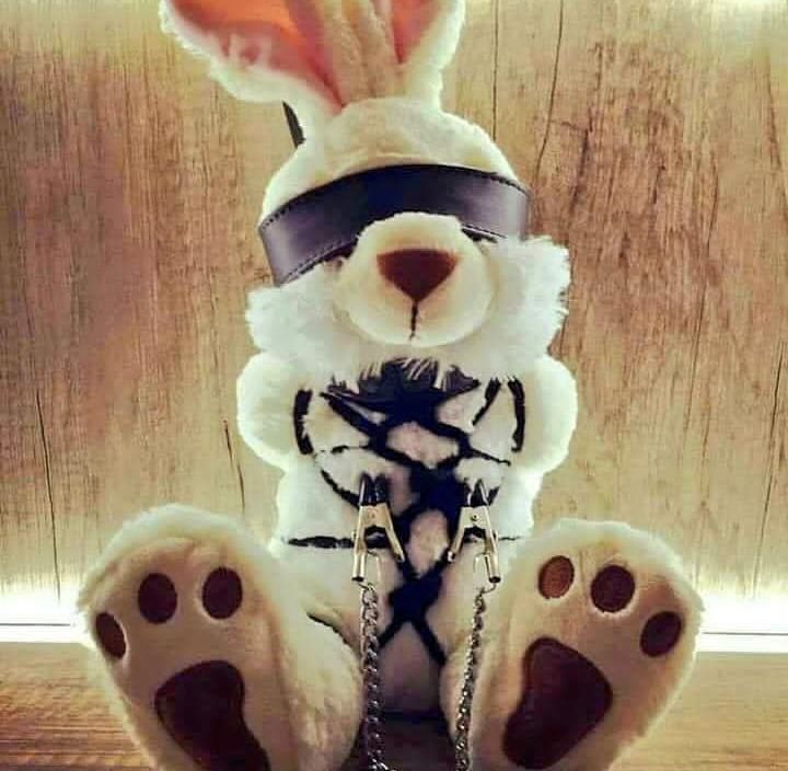 stuffed bunny bondage