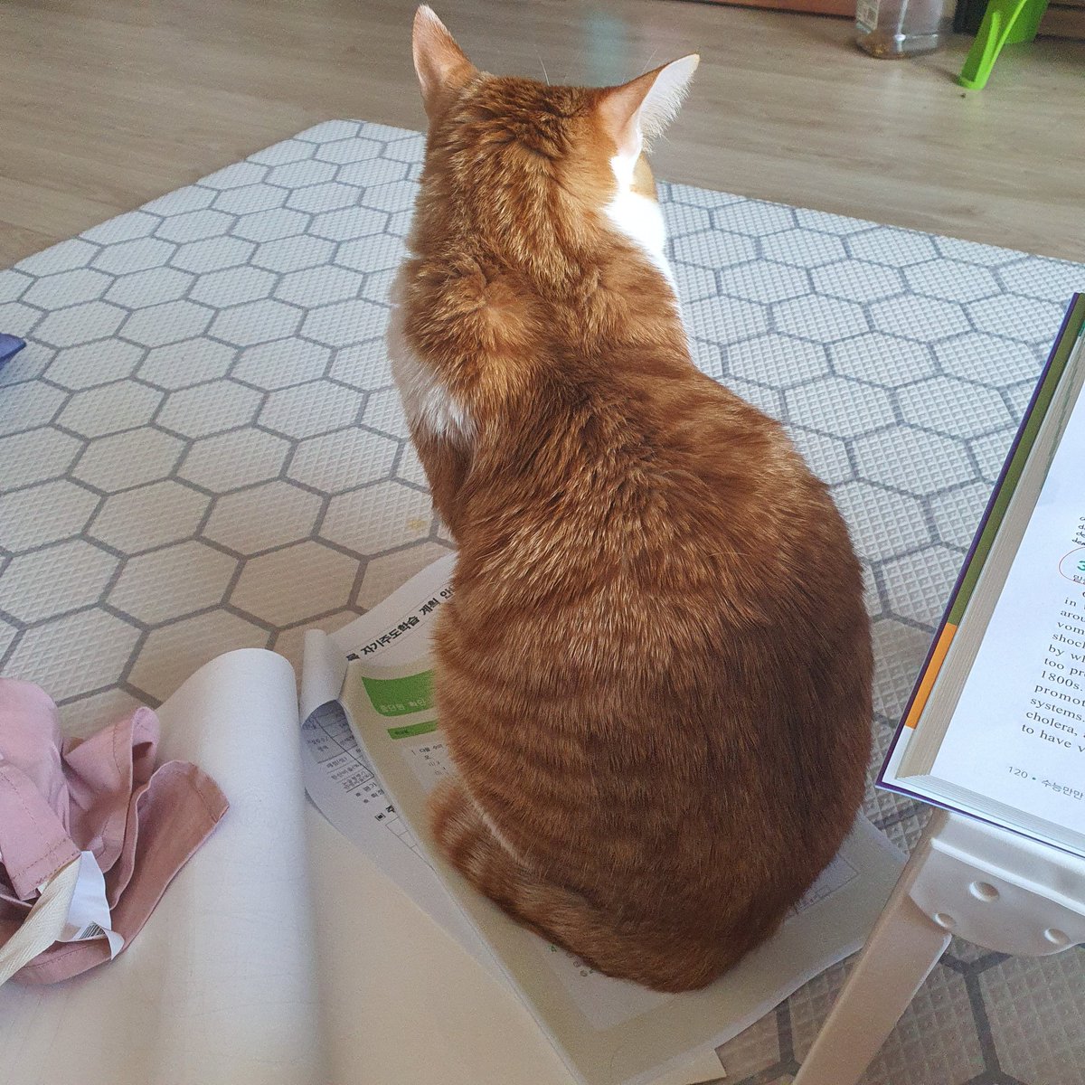 저기...나 그거 학교 숙제..