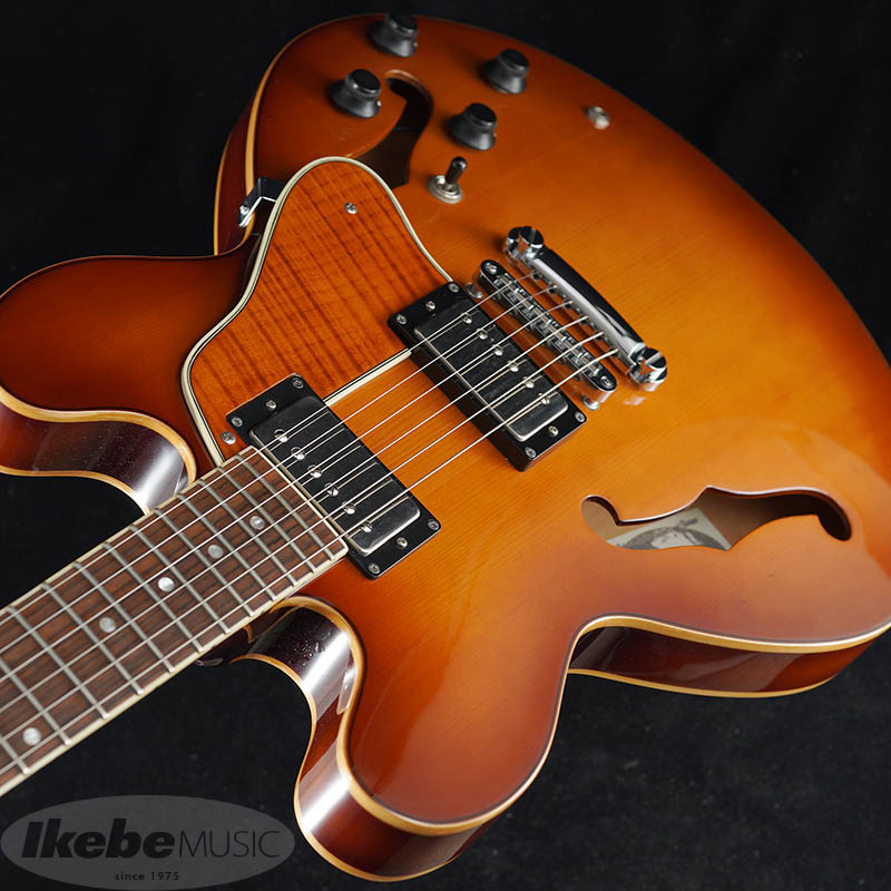 Landscape セミアコースティックギター Sepia Crue FG-10 Mahogany (マホガニー) アコースティック