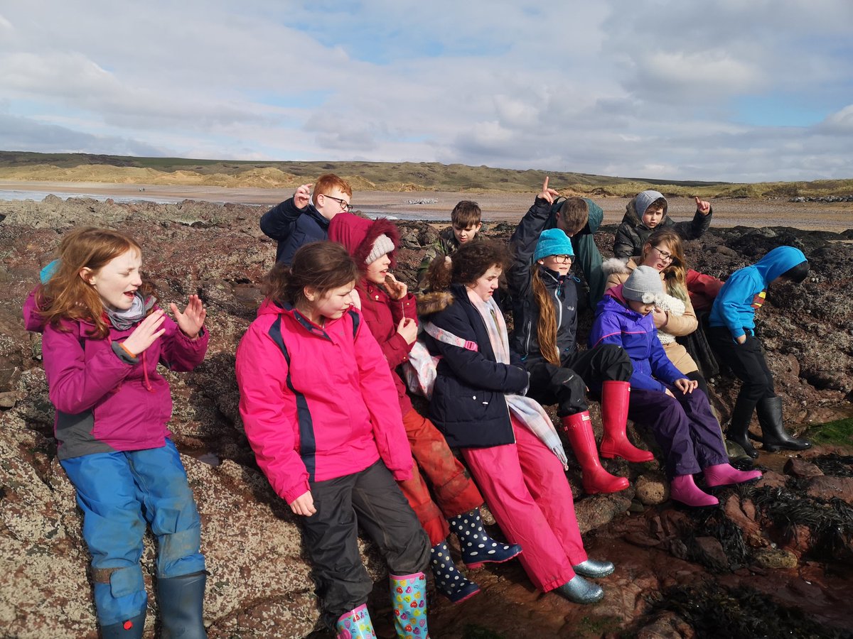 gladstonebarry's tweet photo. Blennies enjoying rock pooling π¦ #Stackpole2020 #Blennies #exploring https://t.co/dnVJScXyKJ