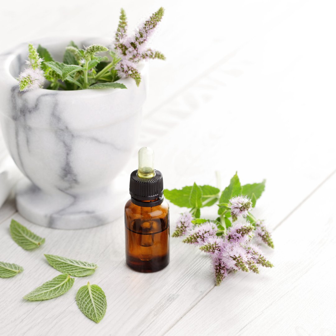 South Africa is world-renowned for its natural ingredients.  The Cosmetic Export Council of South Africa (CECOSA)’s prime objective is to create an exporting environment that will promote increased business for South African companies. 
organicandnaturalexpo.com⠀