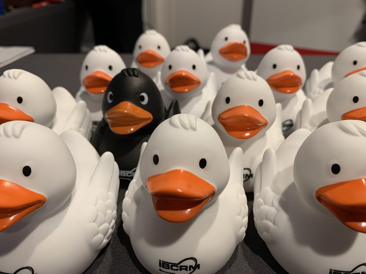 IBCRM_e_V's tweet photo. Die Macht des Black Swan – unwahrscheinliche Ereignisse mit weitreichenden Folgen auf die unternehmerische Resilienz #IBCRM2020 #Quitscheente #BlackSwan https://t.co/9E8giBXP6N