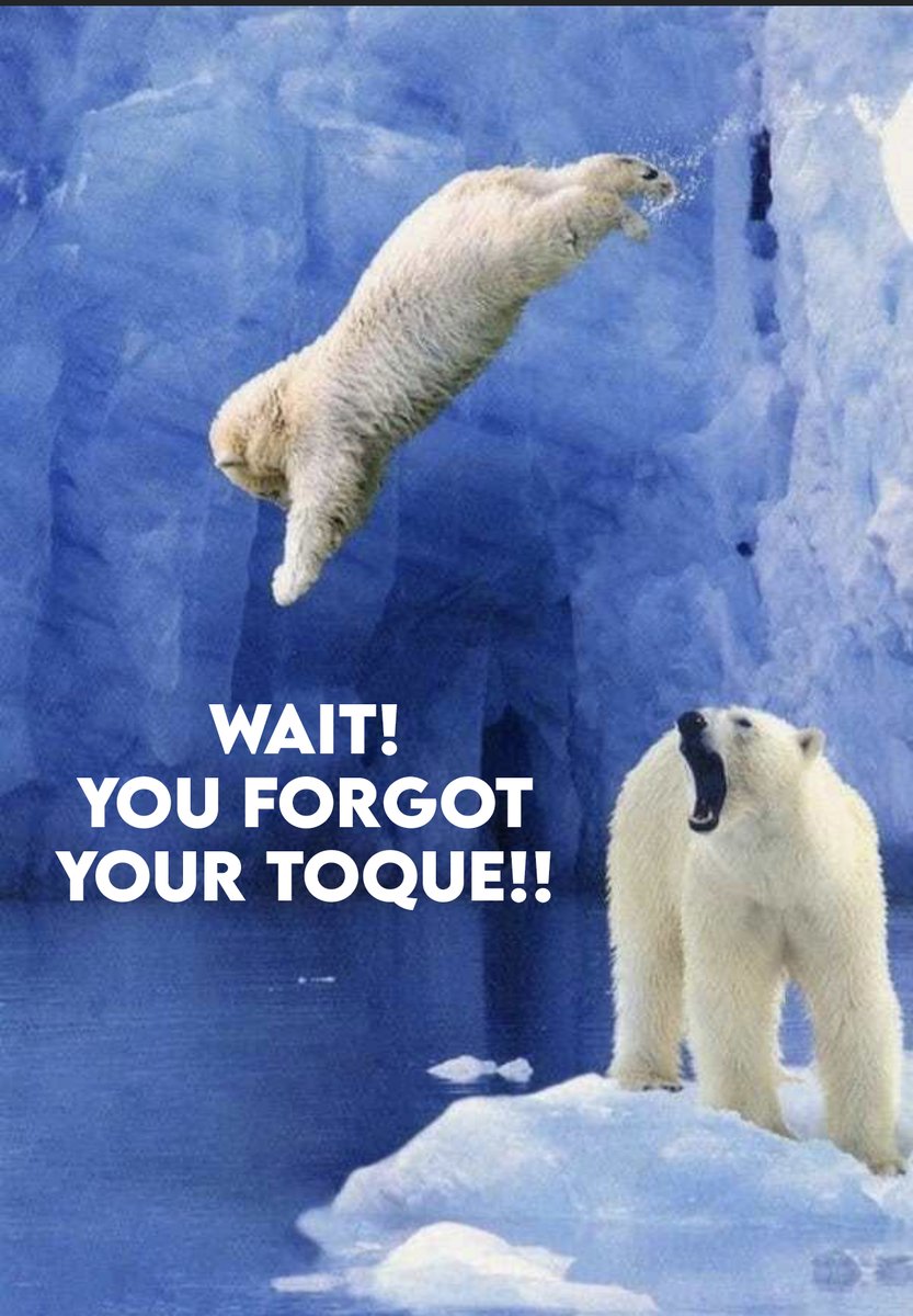 NSLETR's tweet photo. 📢 ATTENTION🗣 ALL REGISTERED PLUNGERS will receive a Free Polar Plunge Toque❗ Become a #Plunger today or make a donation and help @SpecialONS athletes all across the province! https://t.co/ozelUTQsto #BeBoldGetCold #WhyIPlunge #FreezinForAReason #LetsDip https://t.co/pcgEnxh18w