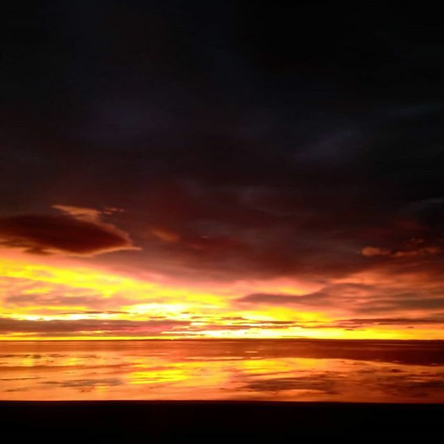 luisfcobarria's tweet photo. Amaneceres 🔥💚 #Puq #MF #SinFiltro #SkyFire https://t.co/FmKBBUjqlP https://t.co/jIehCjYhjh