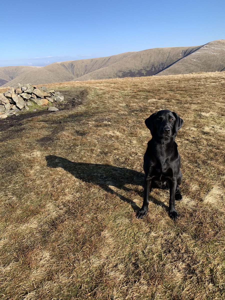 Mullmum's tweet photo. No coronavirus up here! #sedbergh https://t.co/GW7CixBpJz