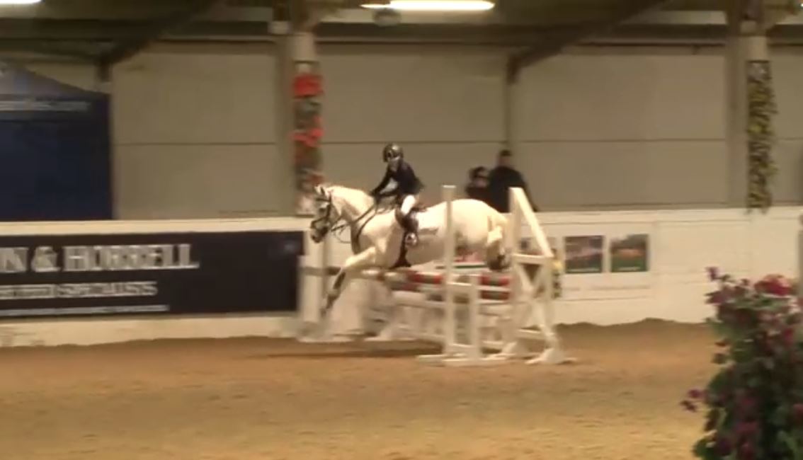 britequestsport's tweet photo. Keep up to date with all of the action from the @arena_uk Small Pony Premier available to view on livestream thanks to @ClipMyHorse!

Tune into: https://t.co/q4wDpdjtov https://t.co/D3HrQRcuWh