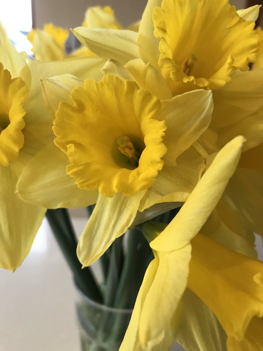 CharlburyFarmMkt tweet media