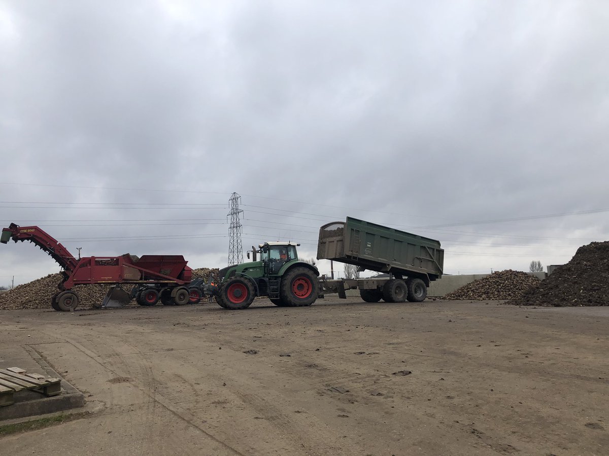 CWrightandSons's tweet photo. It’s go go go ... Loading Sugar Beet destined for Wissington and tipping more at the same time!! #keeppushing #Finalslog #beet19 @BritishSugar #backbritishsugar 🧁 🍫 🍰 🎂 https://t.co/UvUcgP8NAF