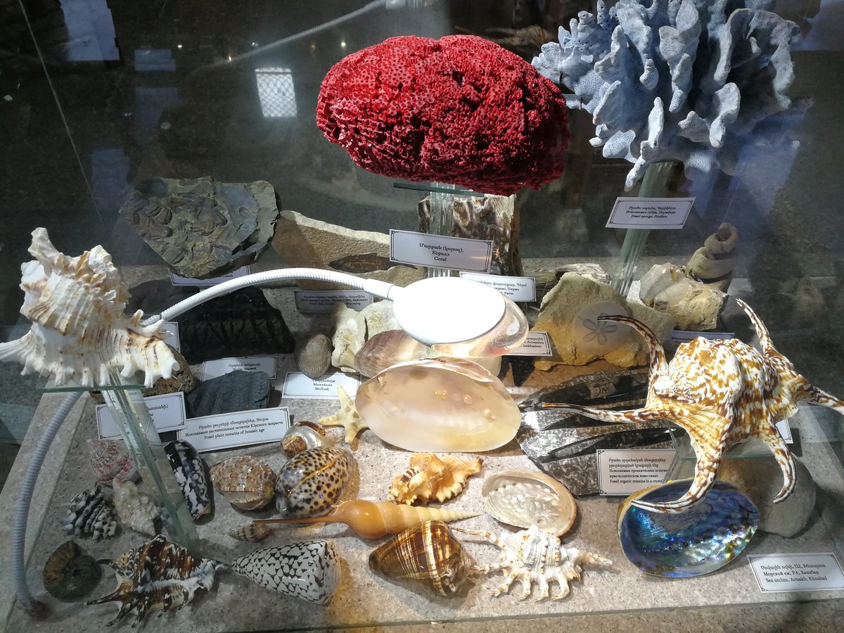 ISafaryan's tweet photo. #GeologicalMuseum in #Shoushi.
How many time have you been there? I have to confess that every time I'm finding something new and interesting in this Stone World.
#cometoArtsakh #NKpeace https://t.co/dybuCeFWNv