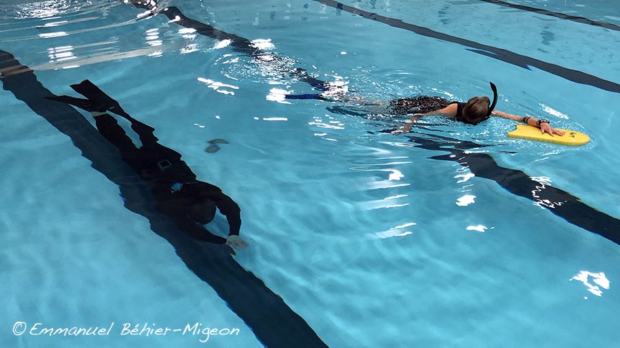Aquamedias's tweet photo. SÉANCES D'APNÉE AVEC APNEACITY / FREEDIVING SESSIONS WITH APNEACITY 🧜🤿💦
Infos: https://t.co/pjAWRmR1hS
.
@AIDAfreediving @ApneaCity #ApneaCityTribe #freediving #freedivingtraining #freedivingcourse #freedivingphotography #experience #philosophy #underwater #underwaterimages https://t.co/TsnB3JNYlr