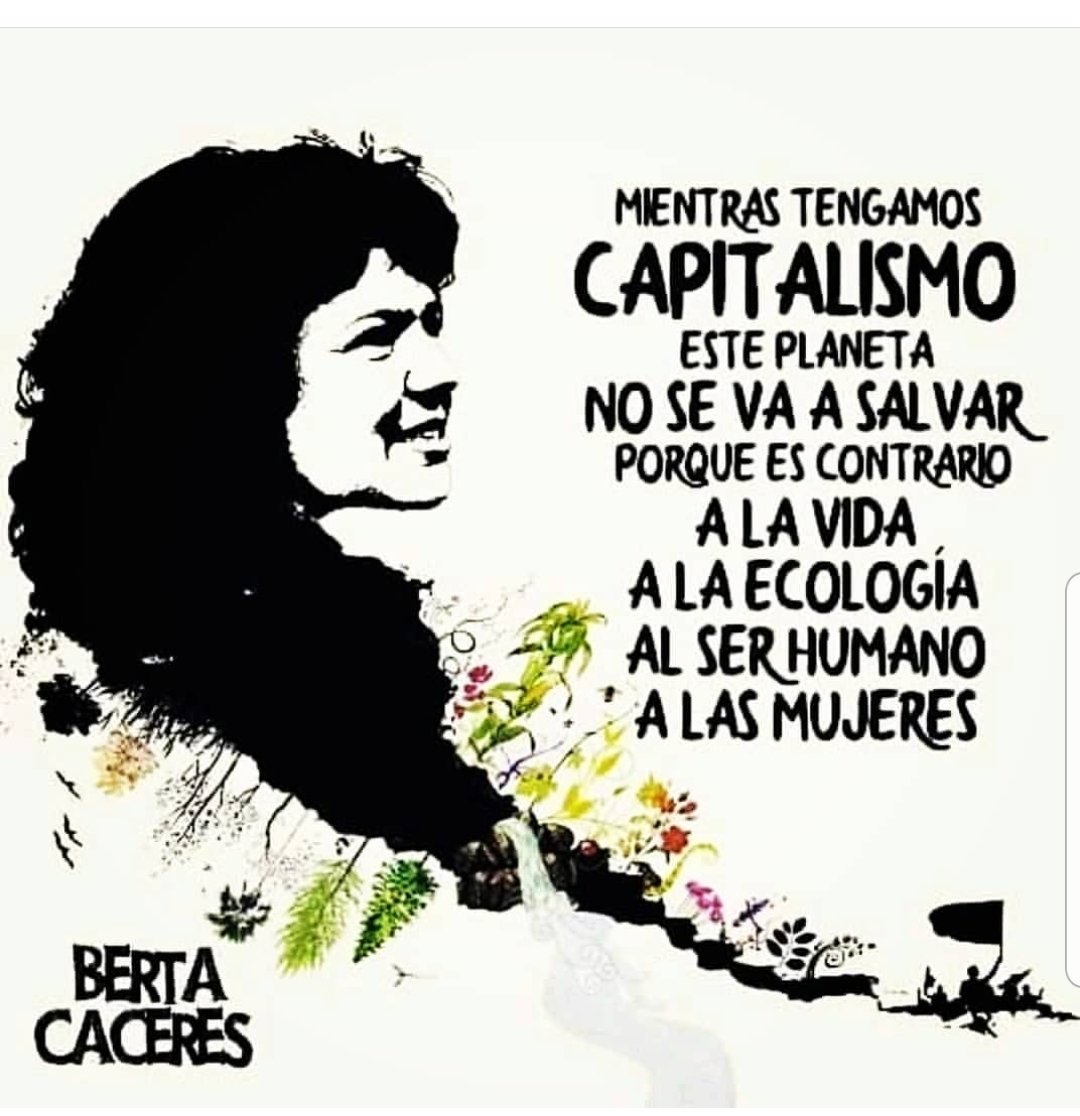 FreePalestine tweet media