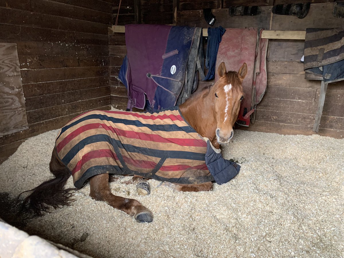 Claire Drey-Brown tweet media