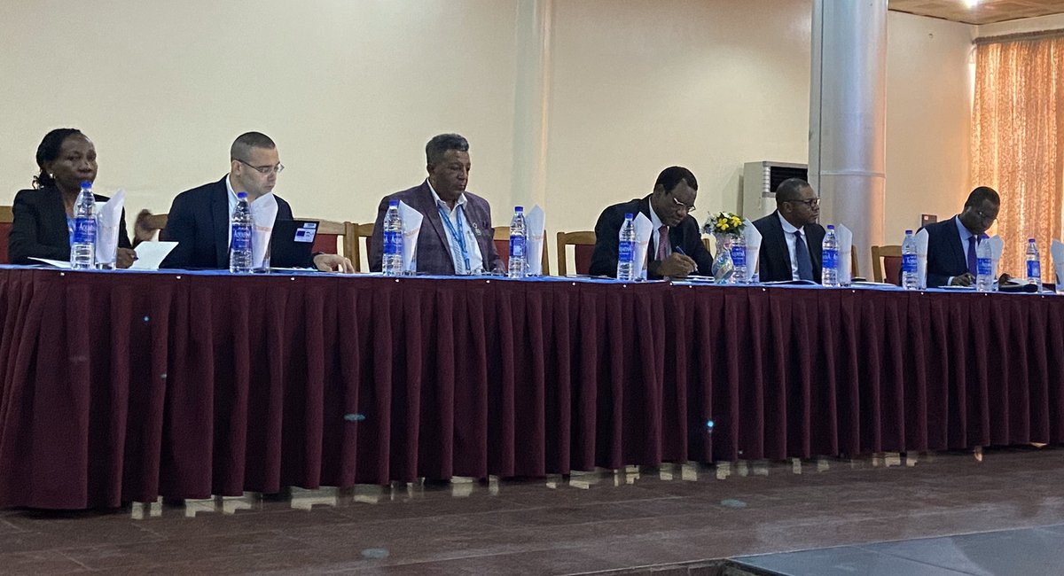 Cathy Diam tweet media