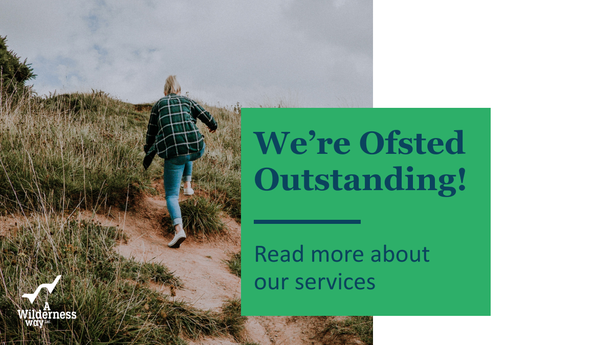 A Wilderness Way tweet media