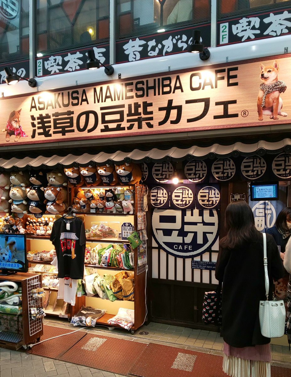 浅草豆柴カフェ