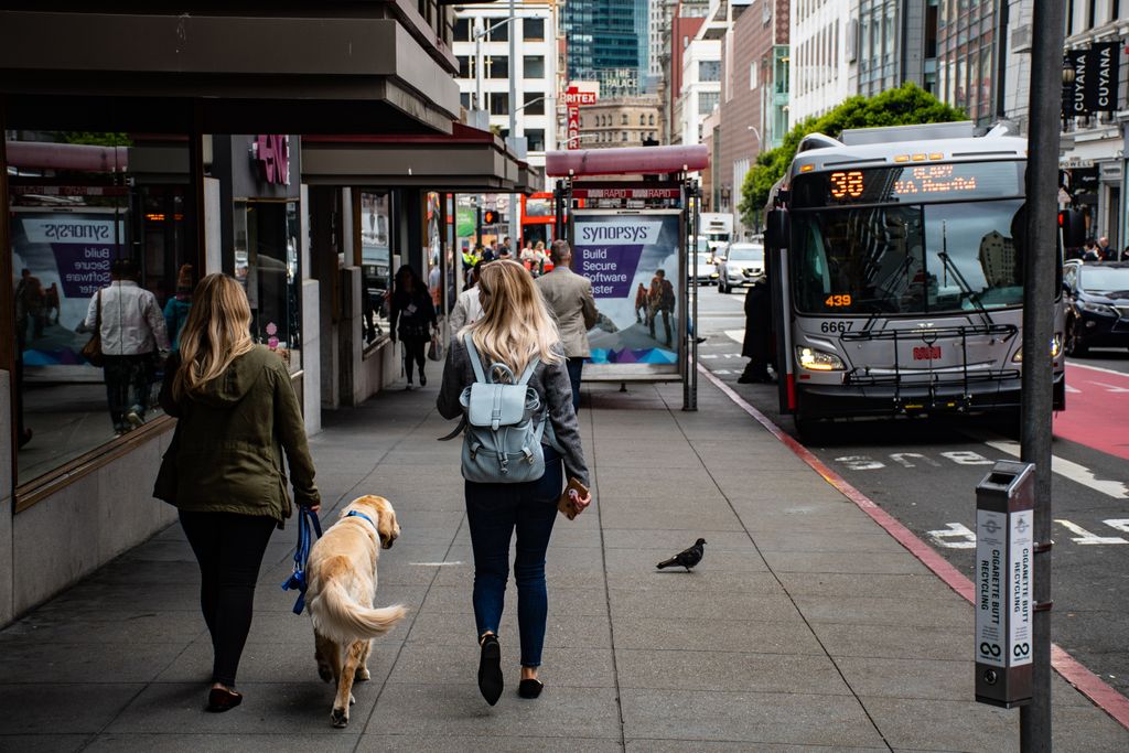 Check out this 'Guide to Getting Around With Your Dog in NYC' via <a href="/meetmaev/">Maev</a> 

#dogmomlife #nycdogs #dogtravel

buff.ly/2PISCtq