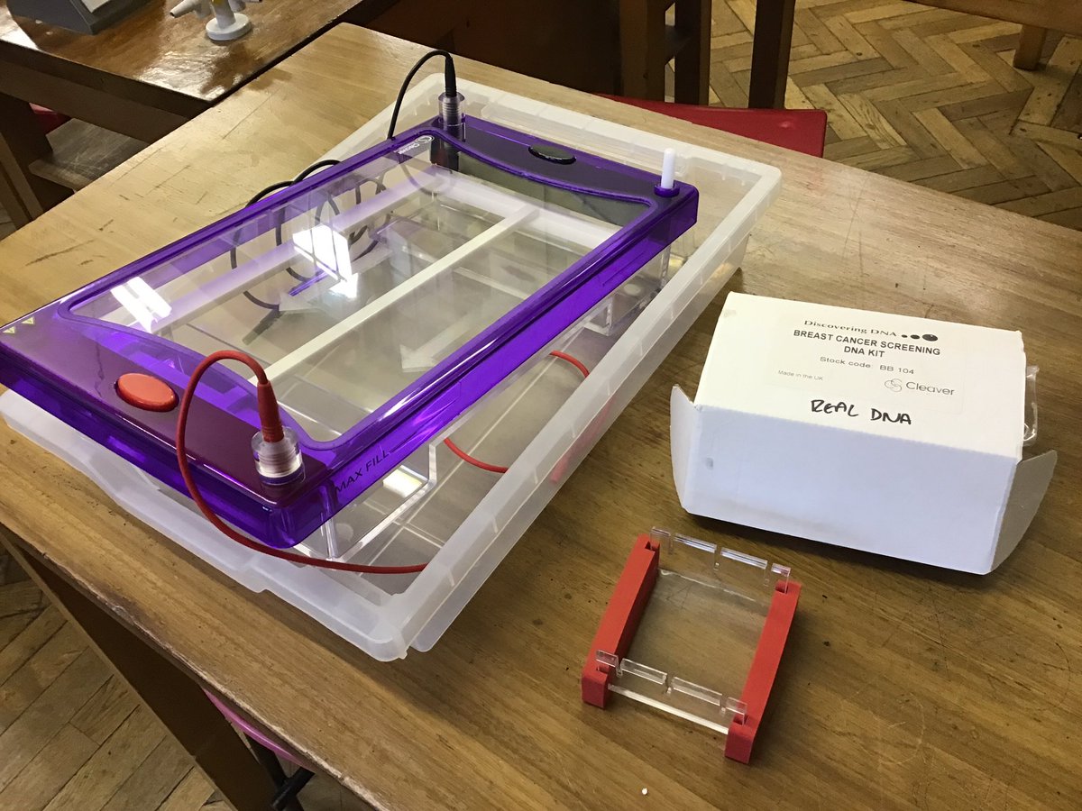 DownsideScience's tweet photo. @Gratnells @Preproom Getting out the gel electrophoresis kit for our annual fun with the 6th Form. #whatsinmytray #TECHOGNITION @discoveringdna https://t.co/Kt1dAvf3c7