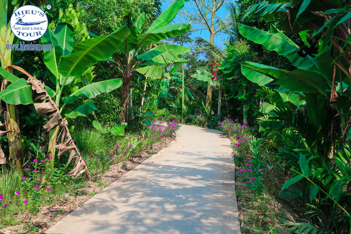 hieutour's tweet photo. 💠🚵‍♀️𝗠𝗘𝗞𝗢𝗡𝗚 𝗗𝗘𝗟𝗧𝗔 𝗕𝗜𝗞𝗘 𝗧𝗢𝗨𝗥🚵‍♀️💠

🚲Mekong Delta is carpeted by natural landscapes and idyllic villages. A bike tour in this beautiful delta is filled with lush greenery and so much interesting! 

#hieutour #travel #travelcompany https://t.co/wpVbO2wKzB