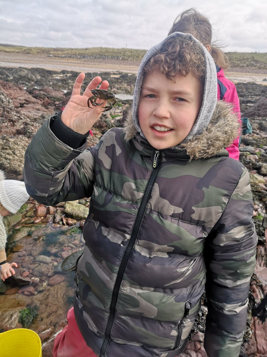 gladstonebarry's tweet photo. Blennies enjoying rock pooling π¦ #Stackpole2020 #Blennies #exploring https://t.co/dnVJScXyKJ