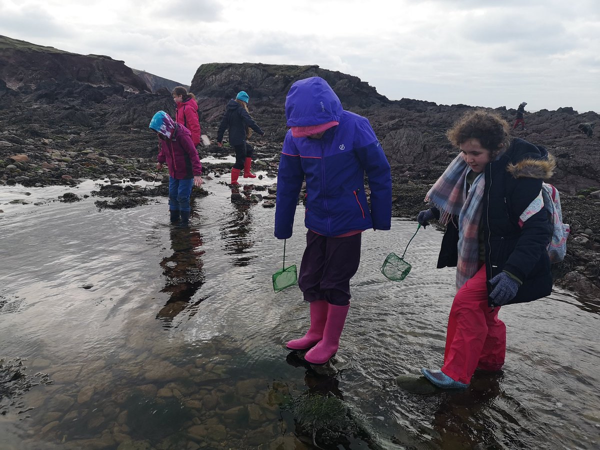 gladstonebarry's tweet photo. Blennies enjoying rock pooling π¦ #Stackpole2020 #Blennies #exploring https://t.co/dnVJScXyKJ