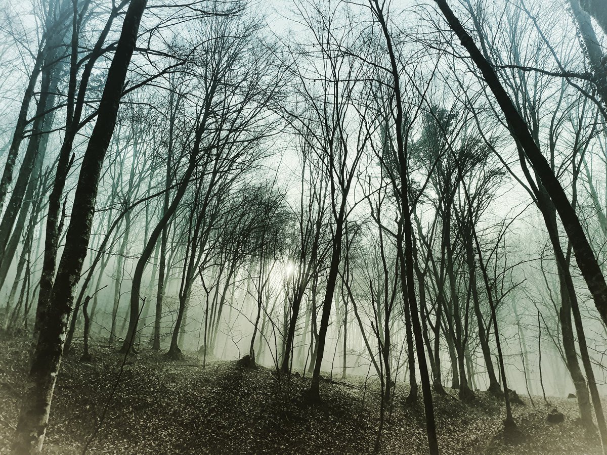 Highlan13504017's tweet photo. Pristno gorjansko jutro.
#gorjan #zivljenjegorjana #gorjanci #discoverbrezice #ifeelslovenia #highlanderlife #roamtheplanet #slovenia #slovenija #catez #global4nature https://t.co/qucdGzRd7H