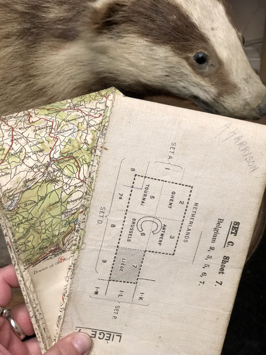 LisaMarieFranks's tweet photo. ๐ฆ Some Of Todayโs Fresh Treasure Added @ Melksham Arcade This Morning! ๐ฆ
#books #jewellery #deco #coral #carnelian #insects #wwi #trenchmap #butterflies #badger #taxidermy #chinese https://t.co/DkTvS2eWFA